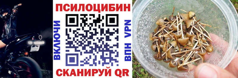 Псилоцибиновые грибы GOLDEN TEACHER  Вязники 